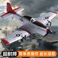 RC Airplane Model P71