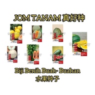 Jom Tanam Biji Benih Buah Buahan Tembikai Merah Kuning Susu Betik Manis Fruit Seeds 1 Feet Papaya Watermelon Rock Melon