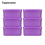 Tupperware | Portable Fresh Food Container 400ml