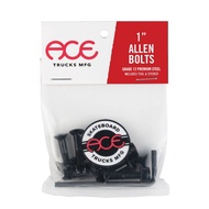 Ace Bolts Allen Hardware 1"