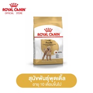 Royal Canin Poodle Adult โรยัล คานิน อาหารเม็ดสุนัขโต พันธุ์พุดเดิ้ล อายุ 10 เดือนขึ้นไป (กดเลือกขนาดได้ Dry Dog Food)