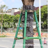 Tree Road Iron Windproof Support Rod Anti-falling Park Wholesale Support Frame Support Tree Steel Pi