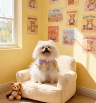 寵物功能性圍巾