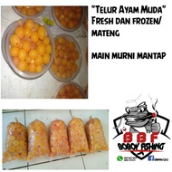 Telur Ayam Muda/Uritan 1 Kg