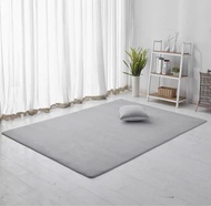 可機洗珊瑚絨寵物地墊客廳茶几地墊小朋友玩樂墊防滑護腳墊地氈