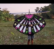 kerangka layangan Pegon ceper 1,5 meter ( rakit sendiri )