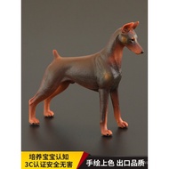 Solid Children Simulation Animal Toy Animal Model Doberman Doberman Dog Early Education Cognitive Gi