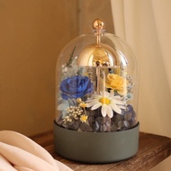 【遇見恆久】星夜 The Starry Night 款 充電式永生花拍拍燈