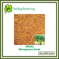 Alfalfa Microgreens / Microgreen Seeds