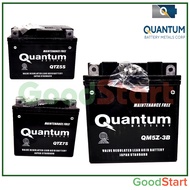 QUANTUM MOTORCYCLE BATTERY MAINTENANCE FREE