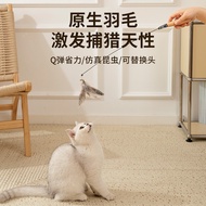 Bell Super Long Cat Teasing Rod Cat Teasing Rod Pet Cat Interactive Spring Cat Fishing Ready Stock S