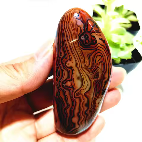 Natural Crsytal Lace Sardonyx Agate Palm Stones Magic Meditation Spiritual Healing Feng Shui Crsytal