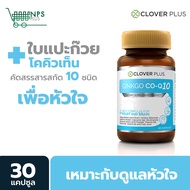 Clover Plus Ginkgo Co-Q10 จิงโกะ โคคิวเท็น สารสกัดจาก ใบแปะก๊วย 1 กระปุก 30 แคปซูล (อาหารเสริม)
