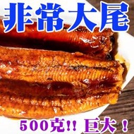 ㊣盅龐水產 ◇蒲燒鰻魚20P(含醬)◇500g±5%/ 零售$435/包  超厚 甘醇醬油釀造 團圓