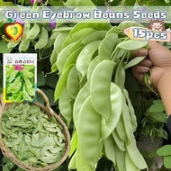 15pcs/pack Green Eyebrow Beans Seeds for Planting Vegetables Plant High Yield Green Bataw Bitsuwelas