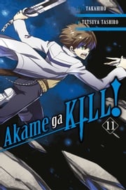 Akame ga KILL!, Vol. 11 Takahiro