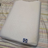 Sealy 枕頭 sealy pillow