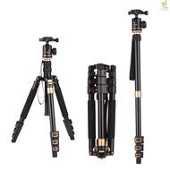 Andoer 140cm/55in Travel Tripod for Camera Aluminum Alloy Tripod Stand with Detachable Monopod 360°Rotatable Ball Head 8kg/17.6lbs Load Capacity with Carry Bag   [24NEW]