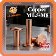 Copper Flat Head Rivets GB869 Percussion Type  Flat Cone Head Solid Rivets Copper D Nails M1.5/M2/M2