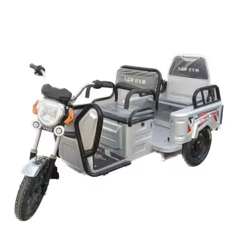 Electric Bike 3 Wheel for Adult Cargo Bike ,electric Tricycle 1000W Leisure Car,adult Tricycle Cargo