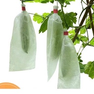 Avocado, guava, mango, custard apple, jackfruit fruit bags with steel wire at the top, 100 beautiful