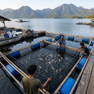 AZS 3x3x1 Quality PE Net Fish Cage Floating Net/ for Cultivating Ponds & Rivers