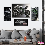 1 Set of Kawasaki H2R Moge Wall Decorations Plus MDF Frame, Kawasaki H2R Moge Wooden Poster Plus MDF
