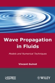 Wave Propagation in Fluids Vincent Guinot
