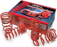 AUTO-STYLE Lowering Springs Compatible with Tesla Model Y Long Range AWD Including AWD Performance 2