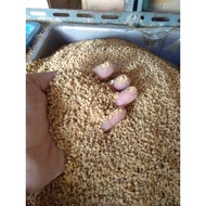 511-P . (500GR) CHICKEN FEED - CHICKEN PUR - STARTER CHICKEN