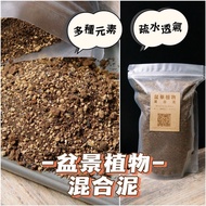 <5合1>【盆景植物混合泥】 植物泥  通用型   多種元素  疏水透氣 盆景專用 泥土  營養土  種植泥  【520g 】 Mixed Soil for bonsai plants  盆景泥 盆景