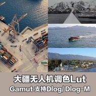 🚁 DJI D-LOG & DLOG-M LUTs – Air3 & Mavic3 + 31 Styles [MICHIGO STUDIO]