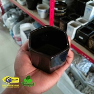 pot keramik hexagonal