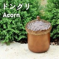 Acorn : กระปุกลูกโอ๊ก