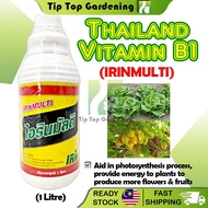 (WHITE BOTTLE) MULTI EXTRA VITAMIN B1 1 LITER AMINO ACID PENGGALAK AKAR B1