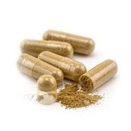 tongkatali tongkat ali yellow root CAPSULE natural authentic herbs with no preservative and chemical