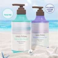 Hot Sale General Trade South Korea Aekyung Cona Pure Luxury Shampoo Hair Conditioner550ml