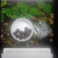 JAMMU HITAM PAK LONG ORIGINAL HQ 510 BIJI