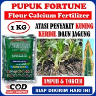 (PROMO) PUPUK KALSIUM Obat Jagung Kerdil Daun Kening Terbaik FORTUNE 1 KG - Obat Jagung Daun Kuning/Virus Kuning/Busuk Buah Jagung Terbaik - Obat Hama Kresek/Blas/Hawar Jagung Paling Manjur Pupuk Kalsium Atasi Jagung Kerdil dan Daun Jagung