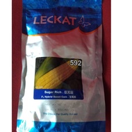 Benih jagung Sugar Rich 592 500g