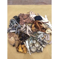 Herbal MEDICINE FOR RHEUMATIC GOUT