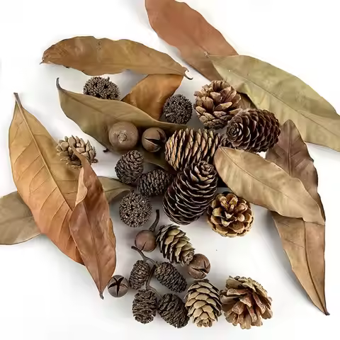 Aquarium Alder Cones Natural Fish Tank's Lowerer Aquarium Decorations & Accessories Multifunctional 