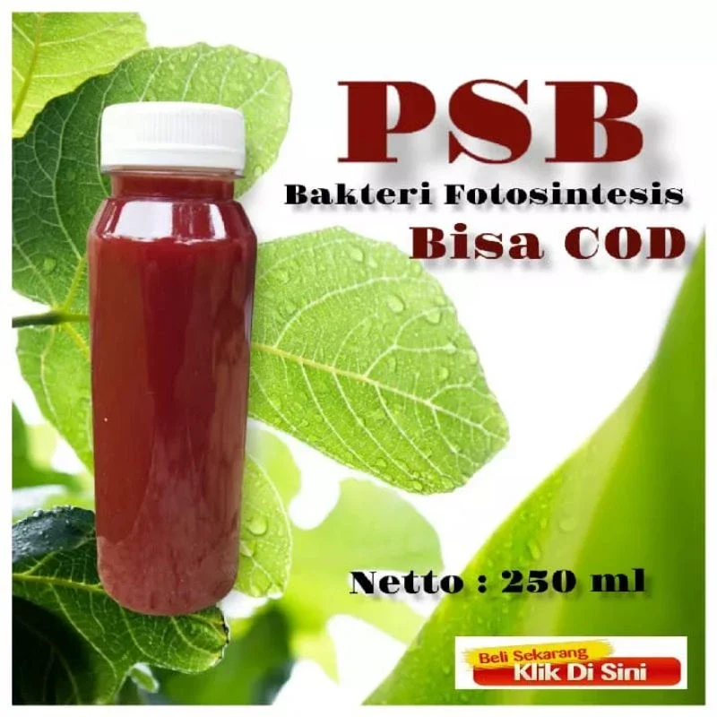 Biang oxygenic PSB fotosintesis 250ml (beli 4 gratis 1)