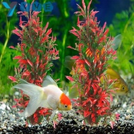 YVE 2PCS Fish Tank Plants, Plastic 25CM Tall Artificial Water Plants, Ornaments Red and Green Reptile Climbing Plant Leaves Fish Tank