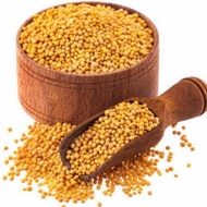 Yellow Mustard Seeds 50 Grams Mustard Seed/