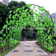 Arched Climbing Frame Flower Stand Steel Pipe Flower Balcony Grape Vine Flower Stand Greenhouse Fram