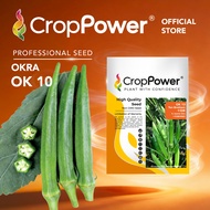 (50 GRAM) Biji Benih Bendi Ten Brothers 十兄弟 OK10 CROP POWER F1 Hybrid Okra Seeds 秋葵羊角豆种子 OK 10