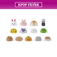 SEVENTEEN - MINITEEN [HOUSE PARTY] Official MD / Pouch