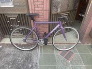 Fixed gear （SKREAM） 紫色 可以換電板