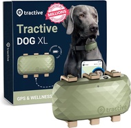 Tractive DOG XL - GPS Dog Tracker ปลอกคอ GPS ไม่จำกัดระยะ กันน้ำ 100% สำหรับสุนัขและหมาขนาดใหญ่ 18 ก